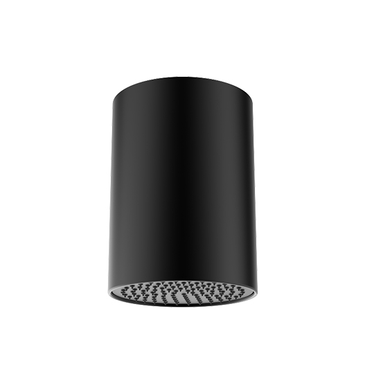Pomme de douche plafonnier 257 mm