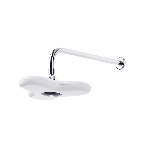 Pomme de douche murale
