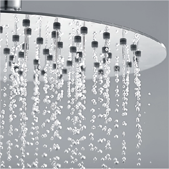 Pomme de douche